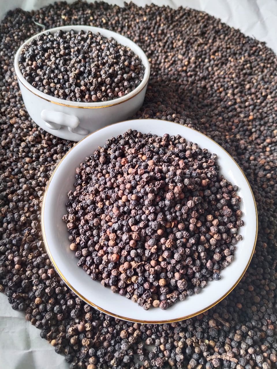 Black Pepper Lada Hitam
